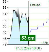 State of water at Nespeky watermark post at 04.00 17.6.2025